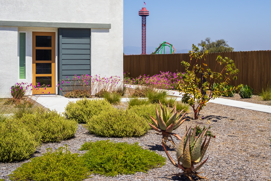 How Can I Create a Low-Maintenance Front-Yard Privacy Screen That Looks Welcoming?