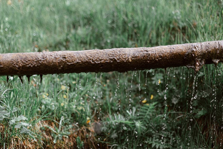 Which Drainage Fix Is Right for My Soggy Front Yard?
